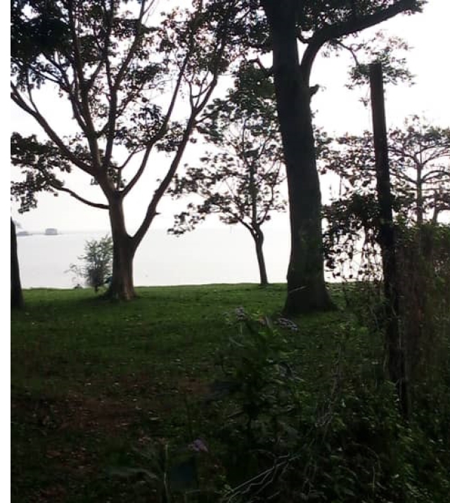 WhatsApp Image 2021-08-30 at 10.22.58.jpg